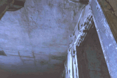 Squatters-Dance-12fps